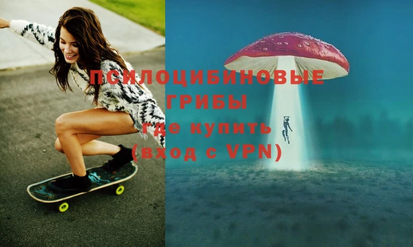 mix Снежногорск