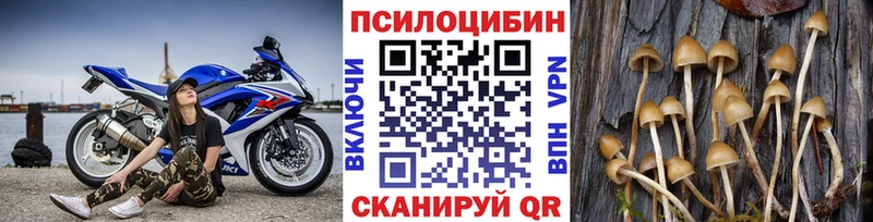 Купить  Йошкар-Ола  Псилоцибиновые грибы ЛСД 